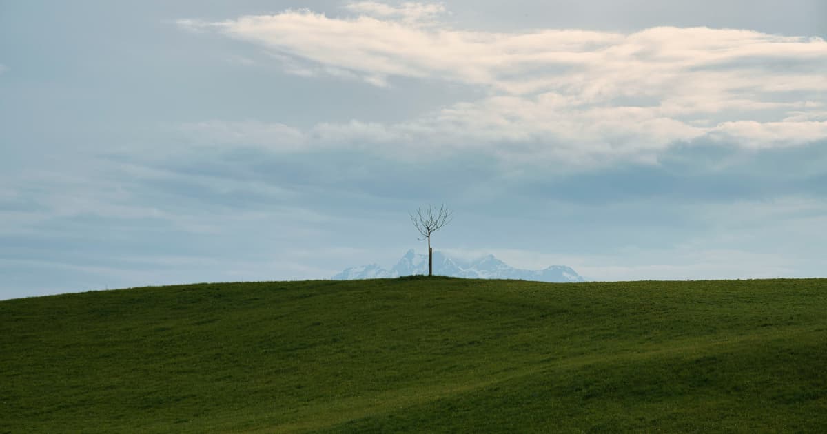 MAX Power Mining progresse dans la première exploration d'hydrogène naturel au Canada grâce à une collaboration technique