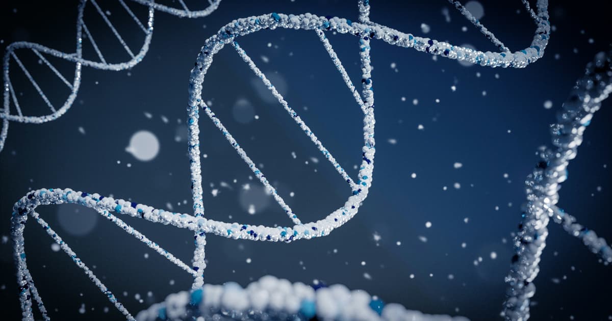 Zonte Metals progresse sur le projet de cuivre Cross Hills avec une découverte significative de minéralisation