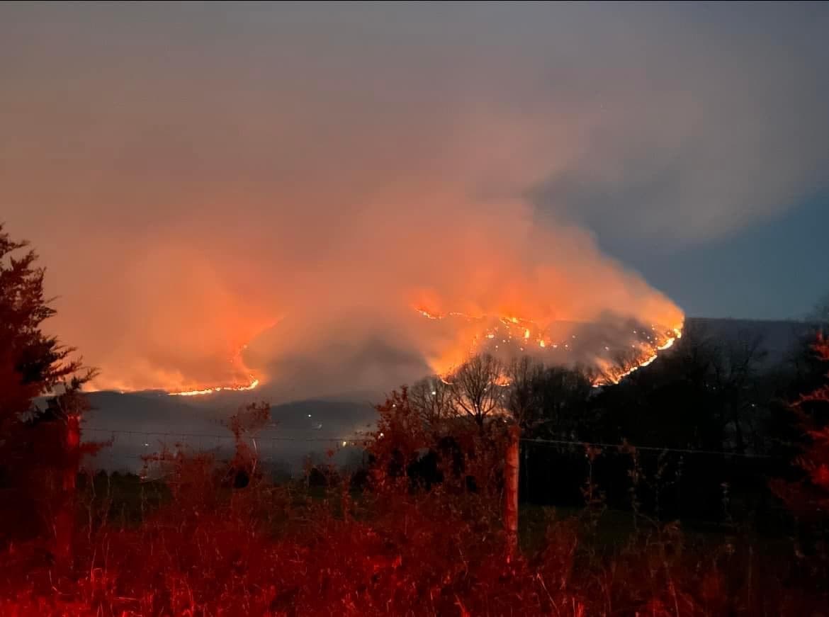L'American Heart Association met en garde contre les risques cardiovasculaires liés à la fumée des feux de forêt canadiens